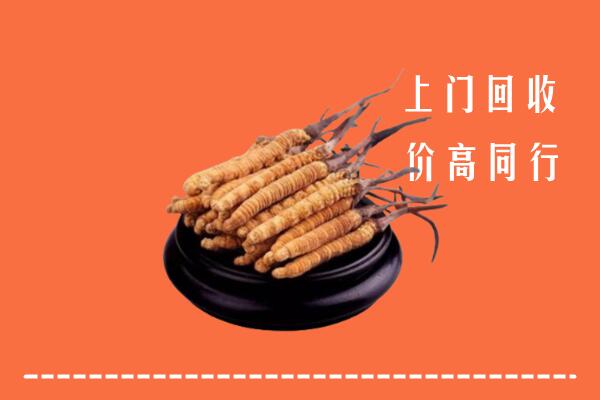 高价求购：拜泉县回收散虫草