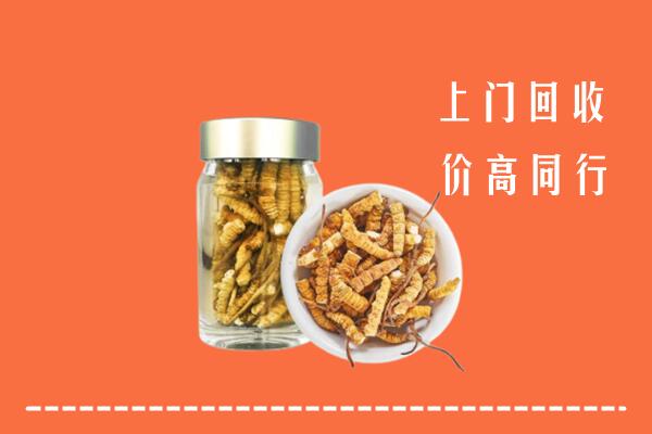 拜泉县回收冬虫夏草