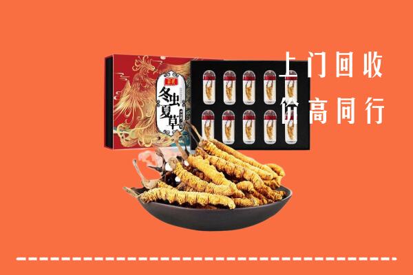 拜泉县回收虫草